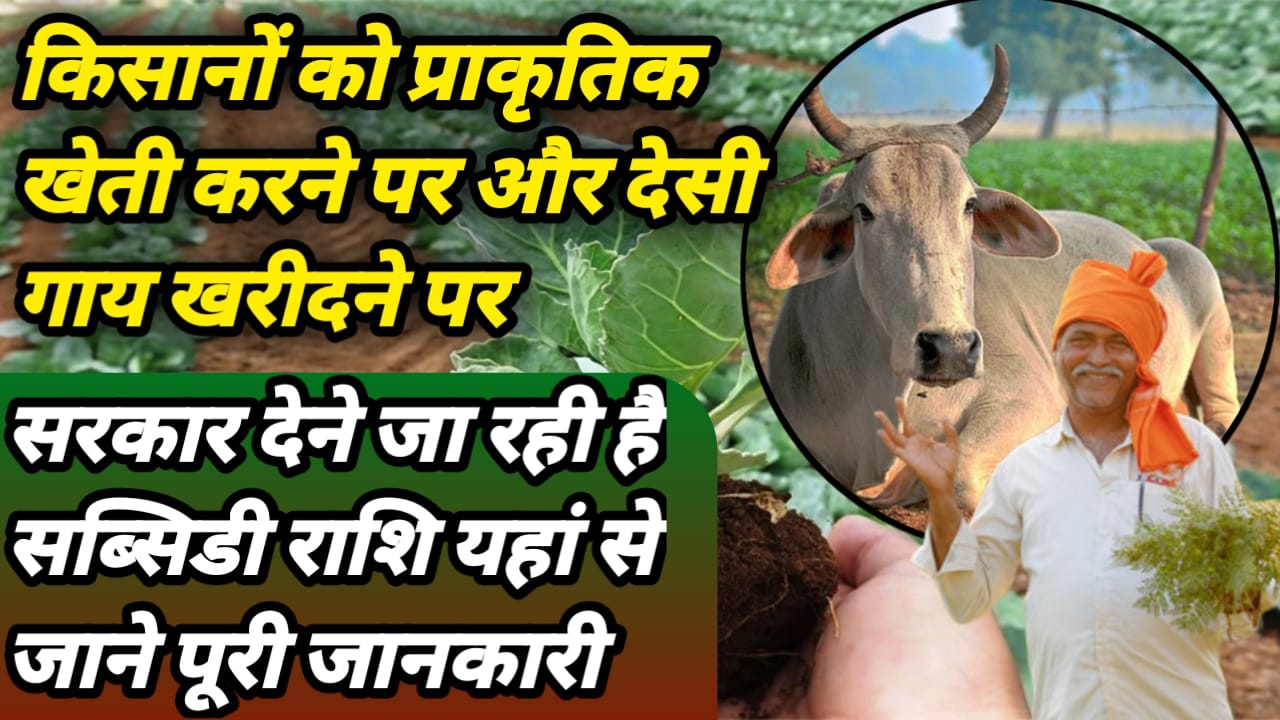 Agri Subsidy Scheme 2025