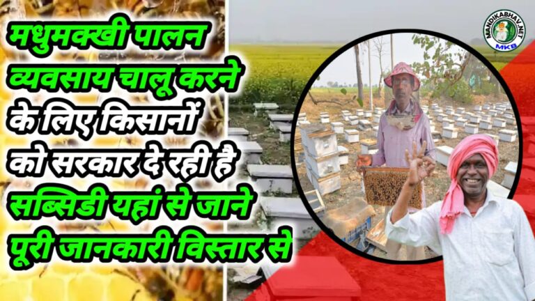 Beekeeping subsidy