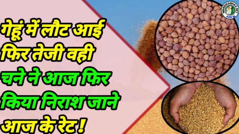 Commodities Mandi Price