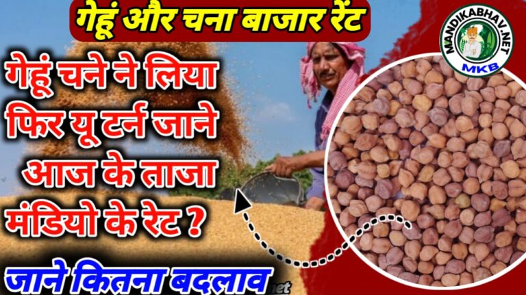 Commodities Mandi Price