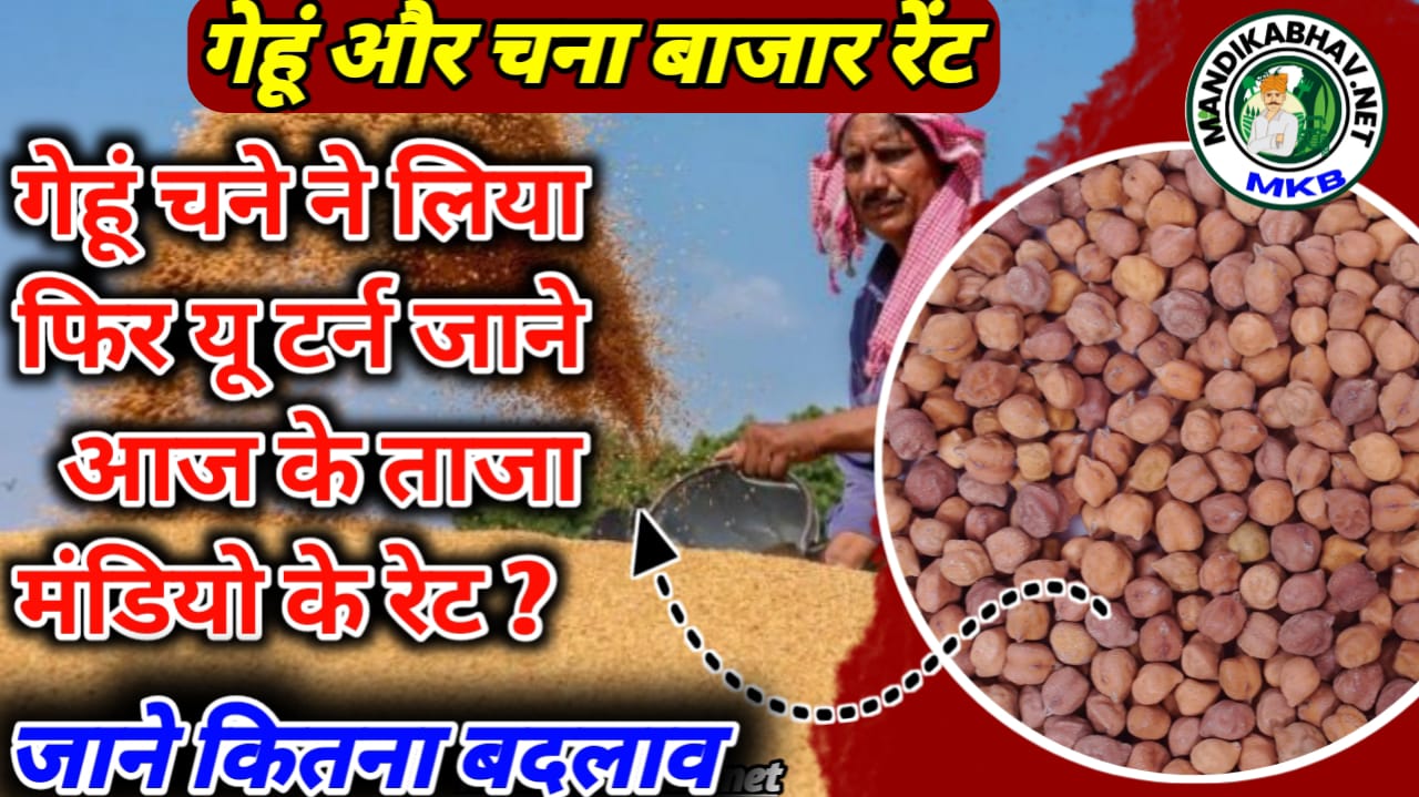 Commodities Mandi Price