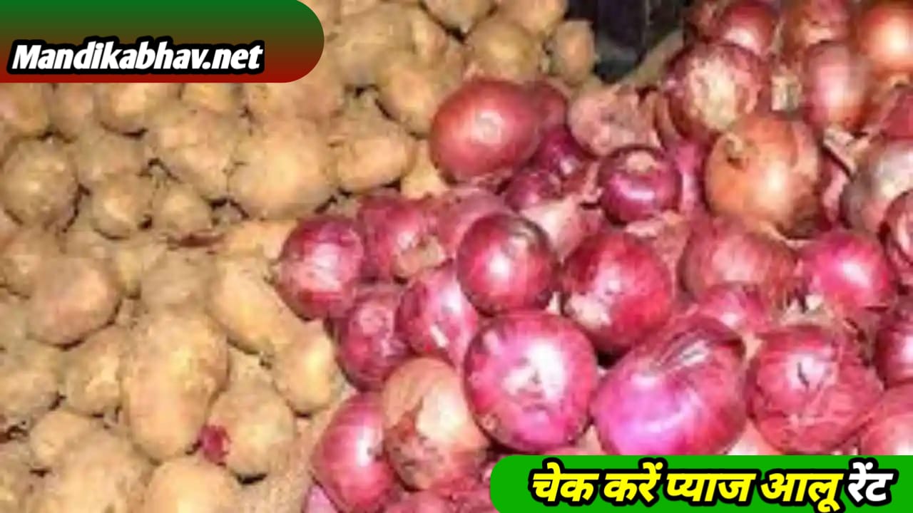 Garlic Onion Price