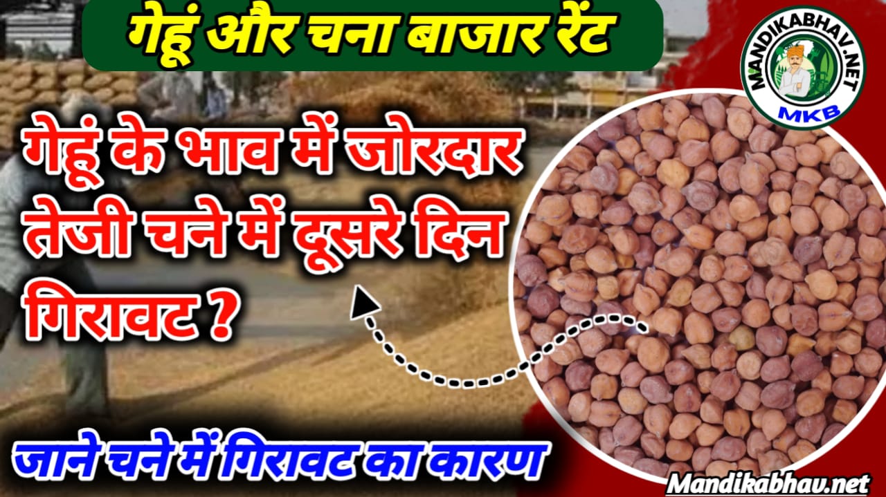 Mandi Commodities Price