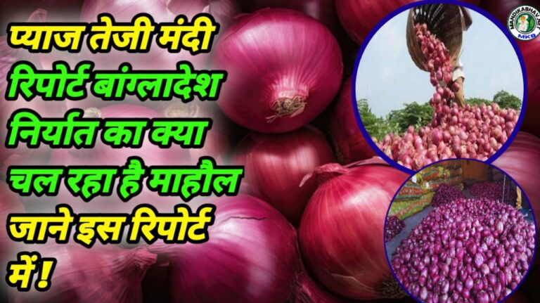 Onion Commodities Price