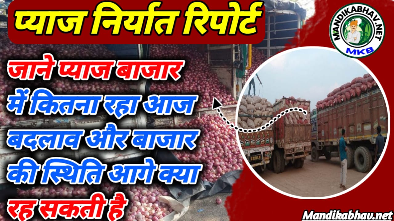 Onion Export 2025