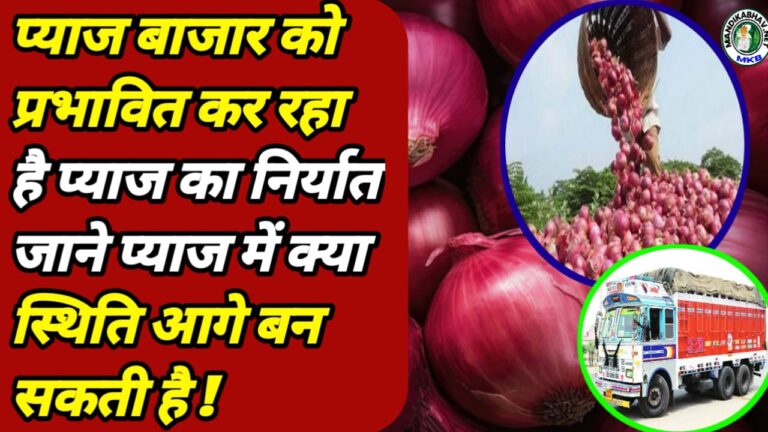 Onion Export Update