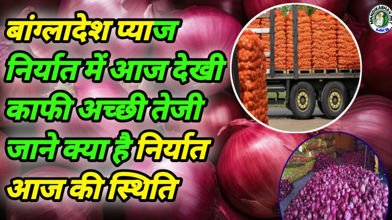 Onion Export Update