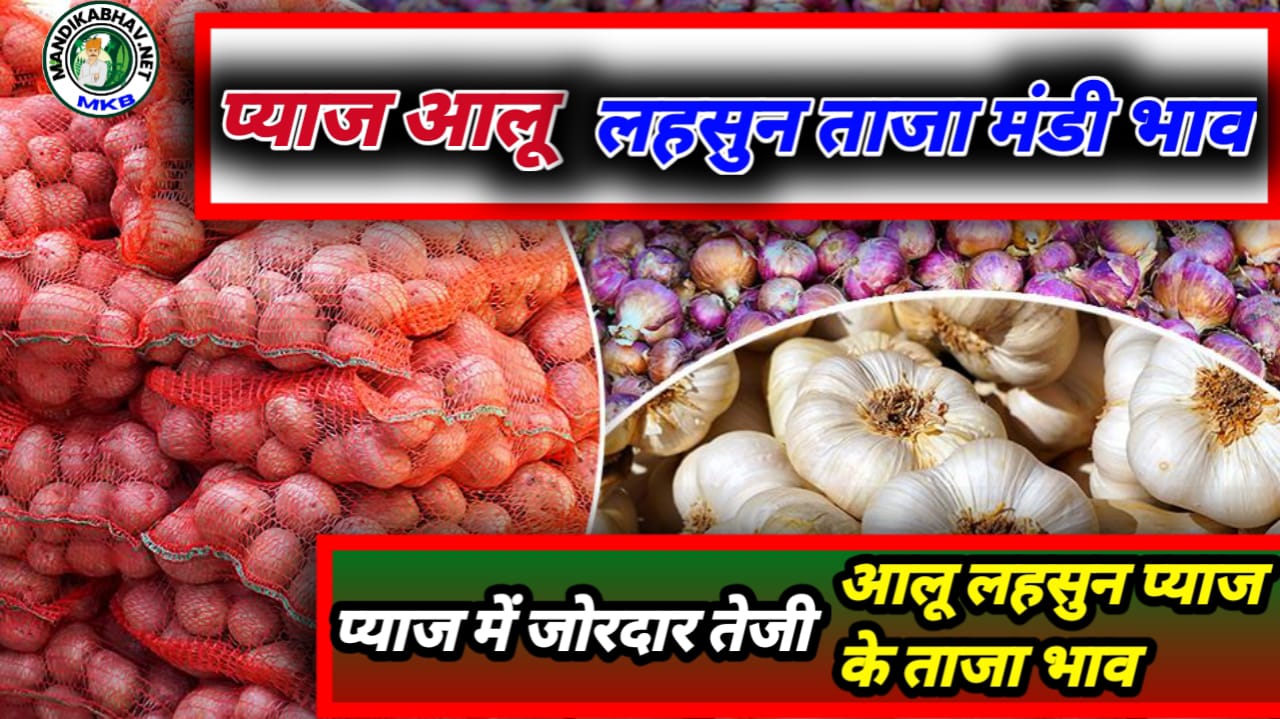 Onion Garlic Mandi Price