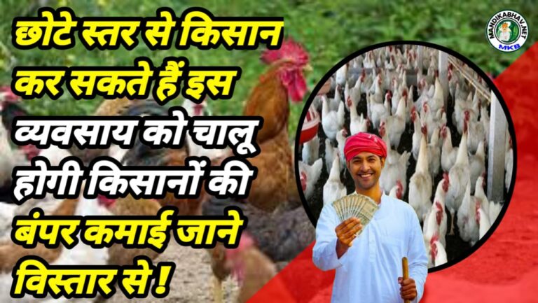 Poultry Farming Business 2025