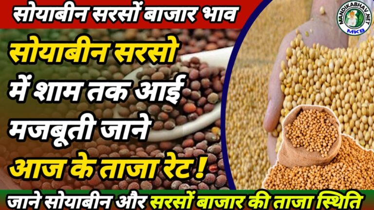 Soyabean  Commodities Price