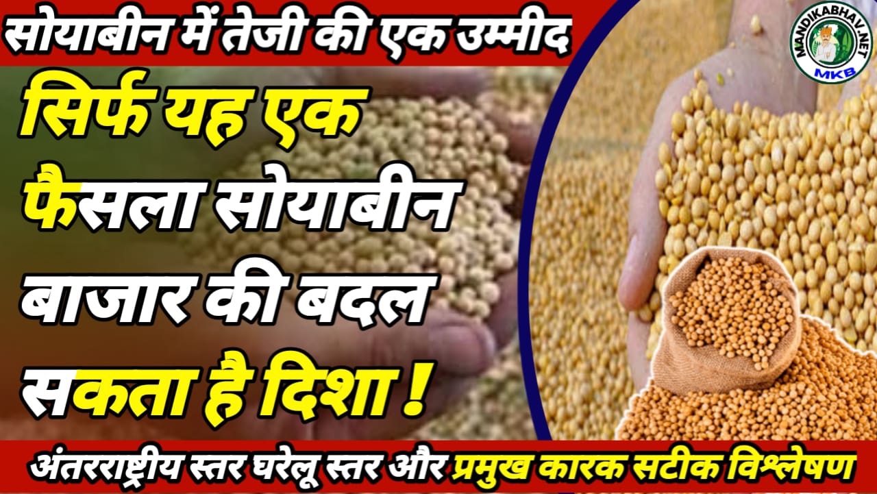 Soyabean Commodities Report