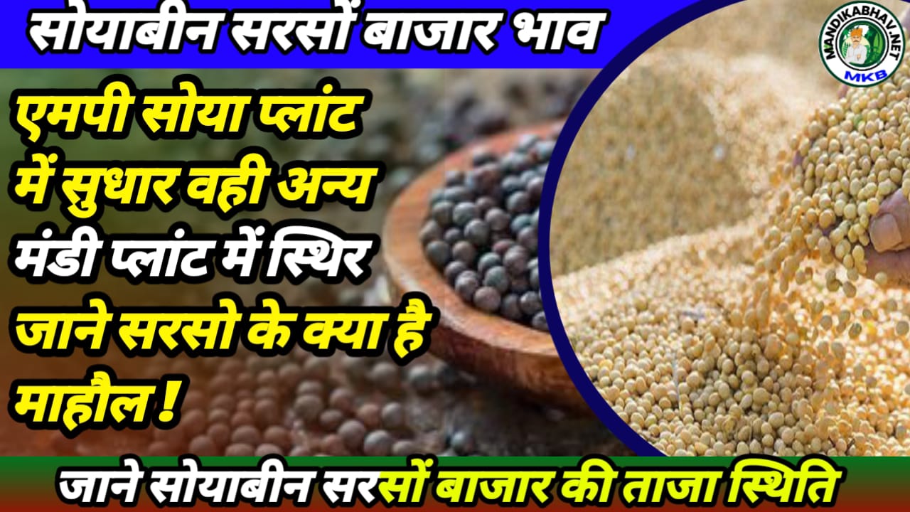 Soyabean Commodities price