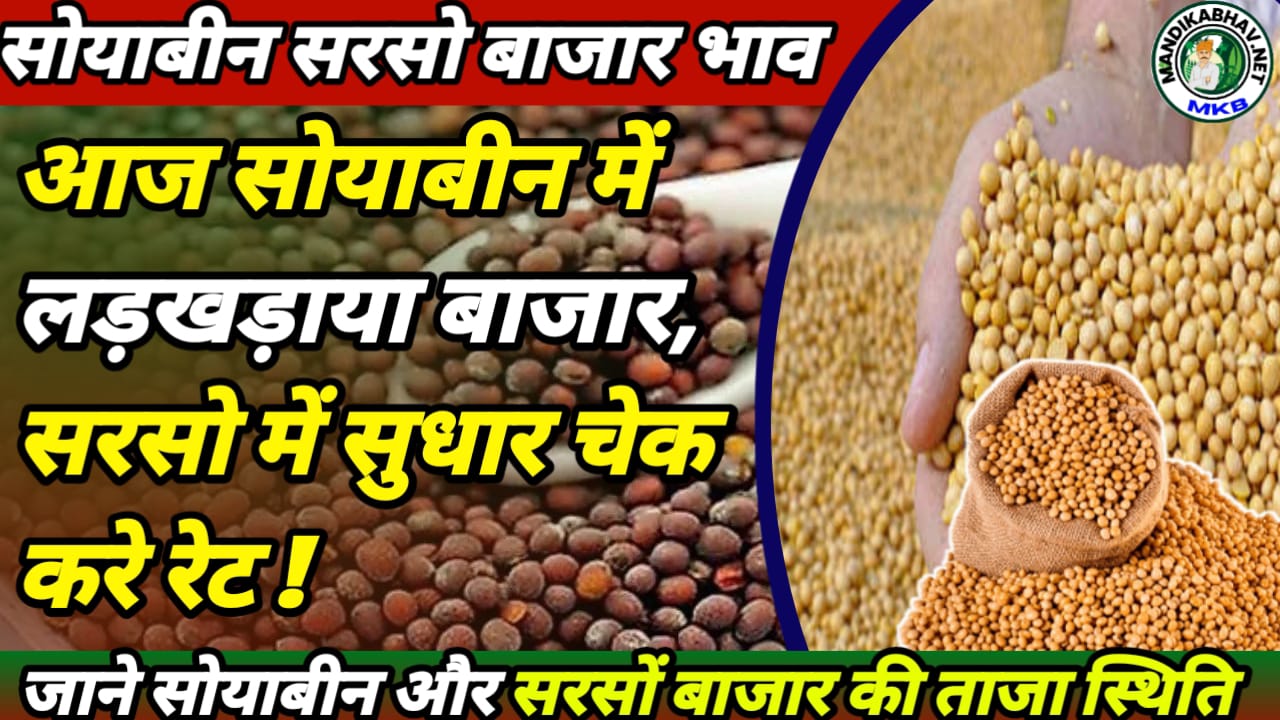 Soyabean Commodity price