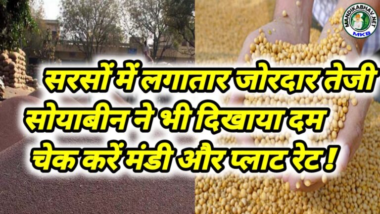Soyabean Mandi Commodities Price