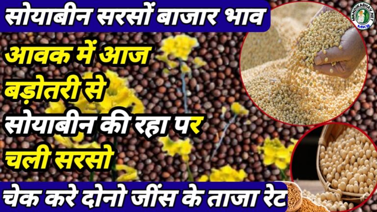 Soyabean Mustard Commodities Price