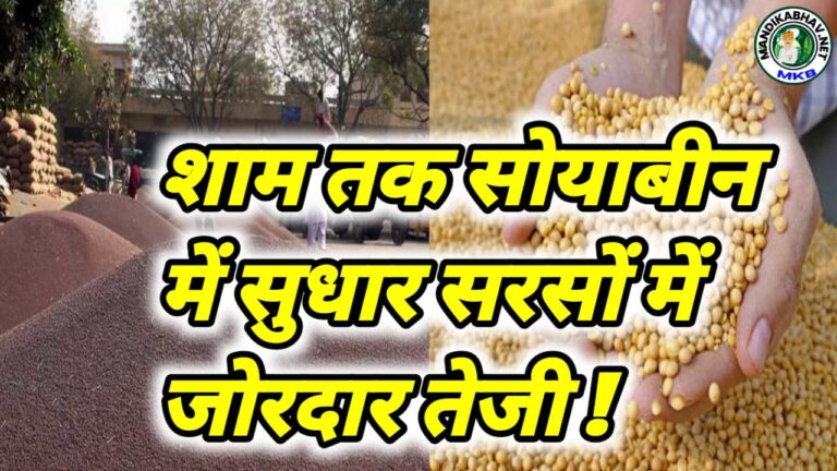 Soyabean Mustard Commodities Price