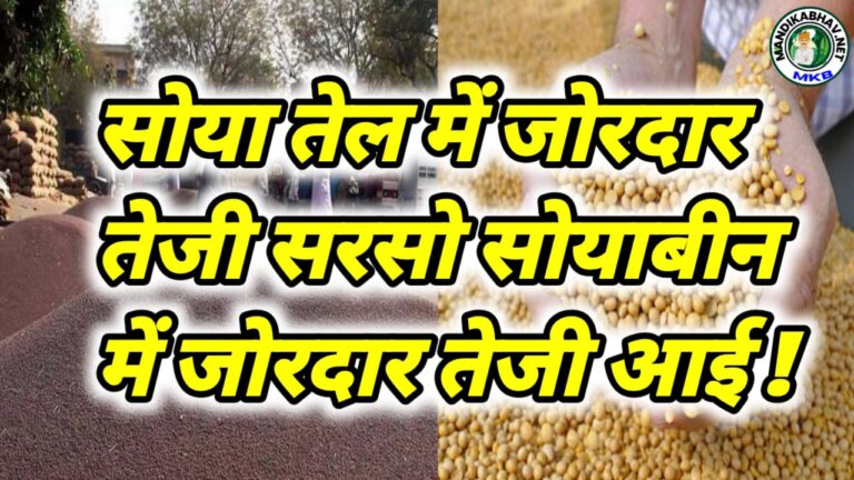 Soyabean Mustard Commodities Price