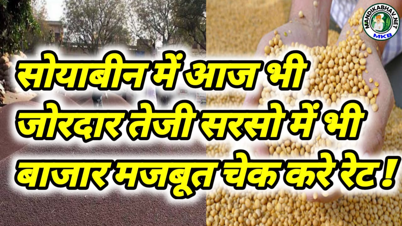 Soyabean Mustard Commodities Price