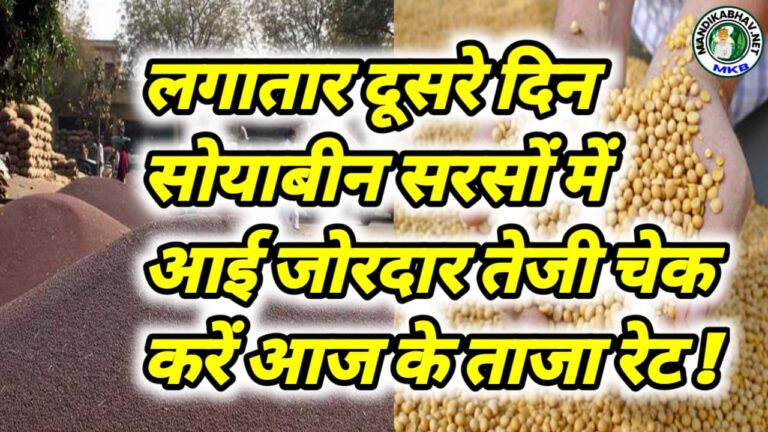 Soyabean Mustard Commodities Price