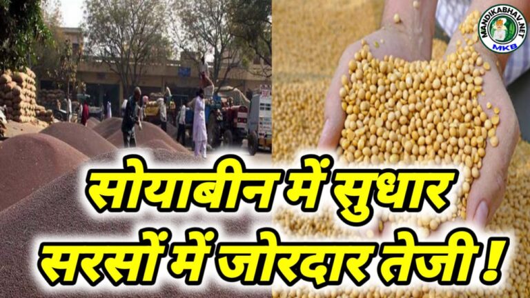 Soyabean Mustard Commodities Price