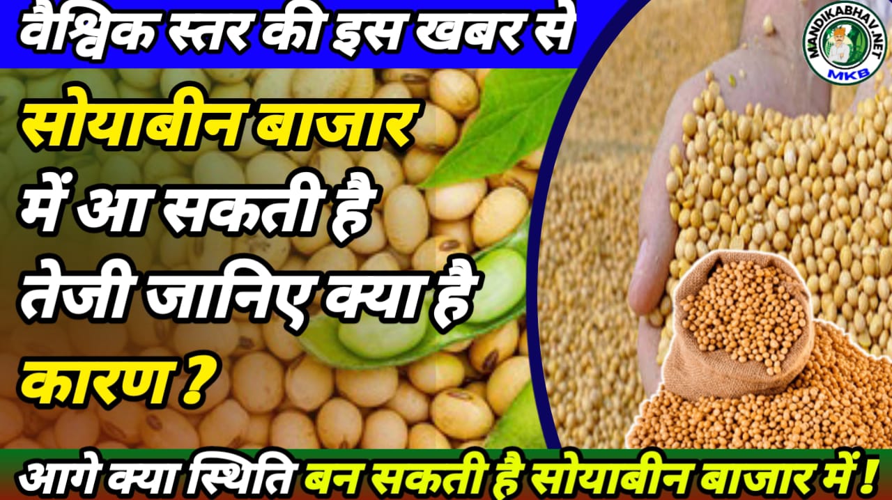 Soyabean Report 