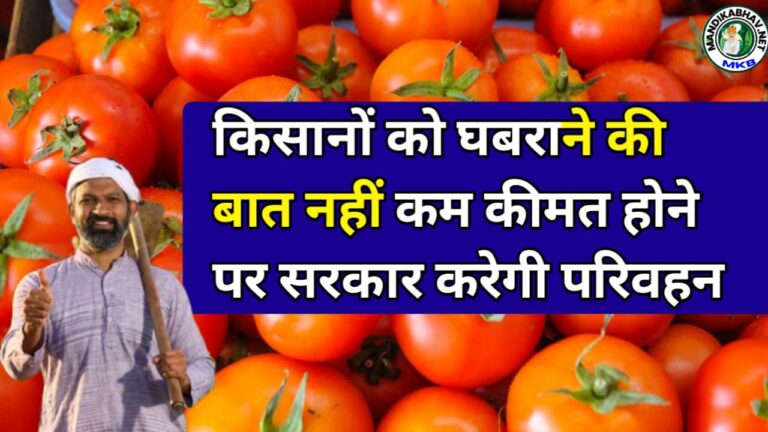 Tomato Grant