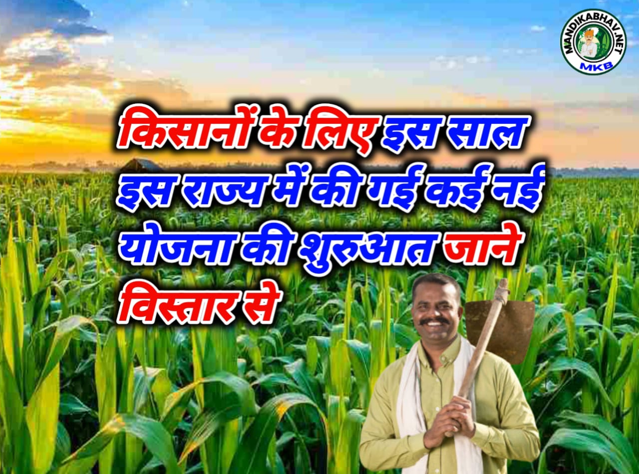 Bihar Budget 2025
