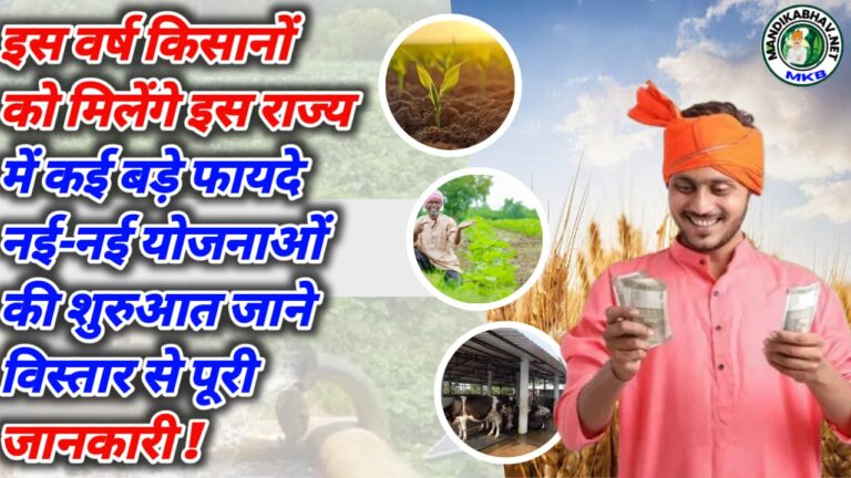 Bihar Budget 2025