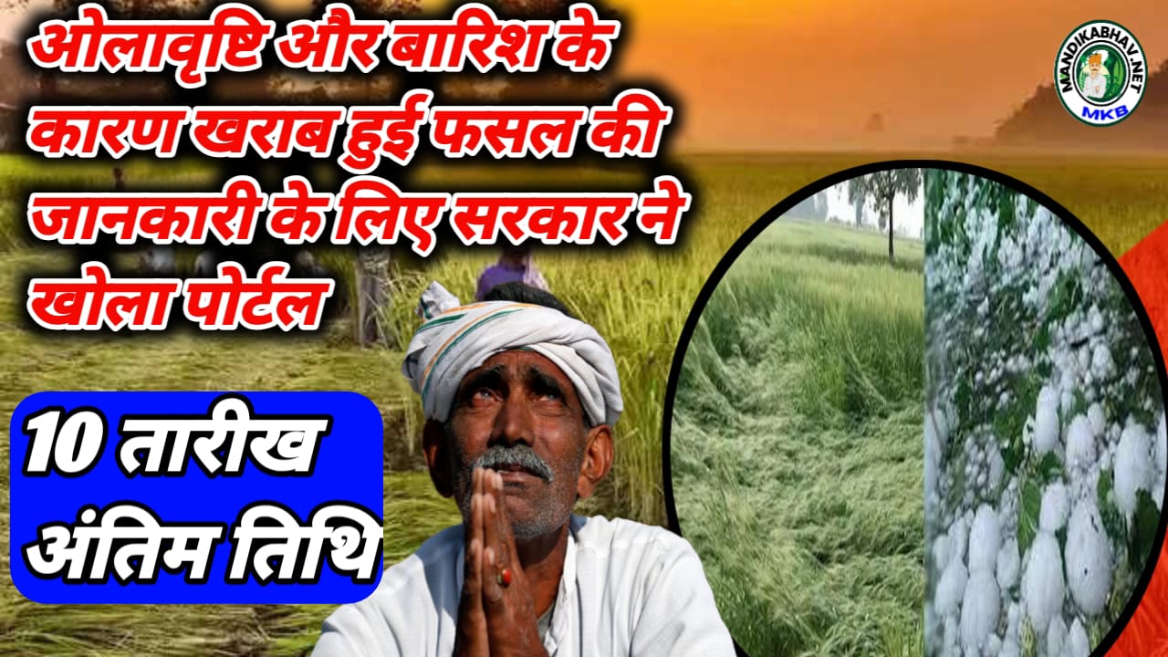 Crop Online Update
