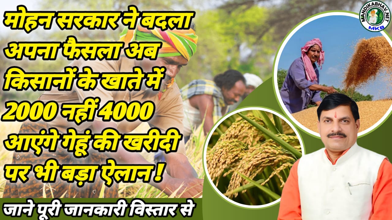 Farmer New Update