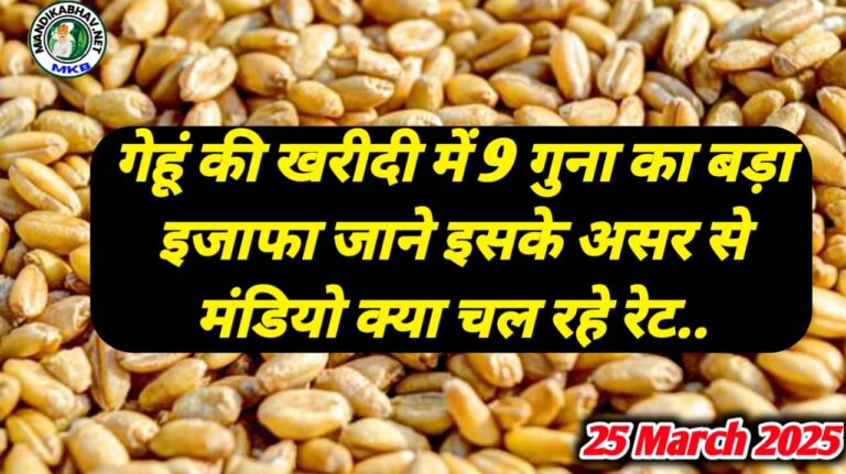 Gehu Mandi Rate