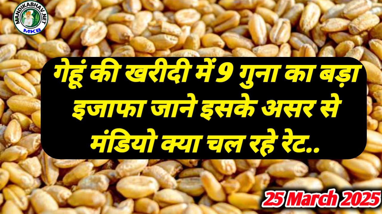 Gehu Mandi Rate