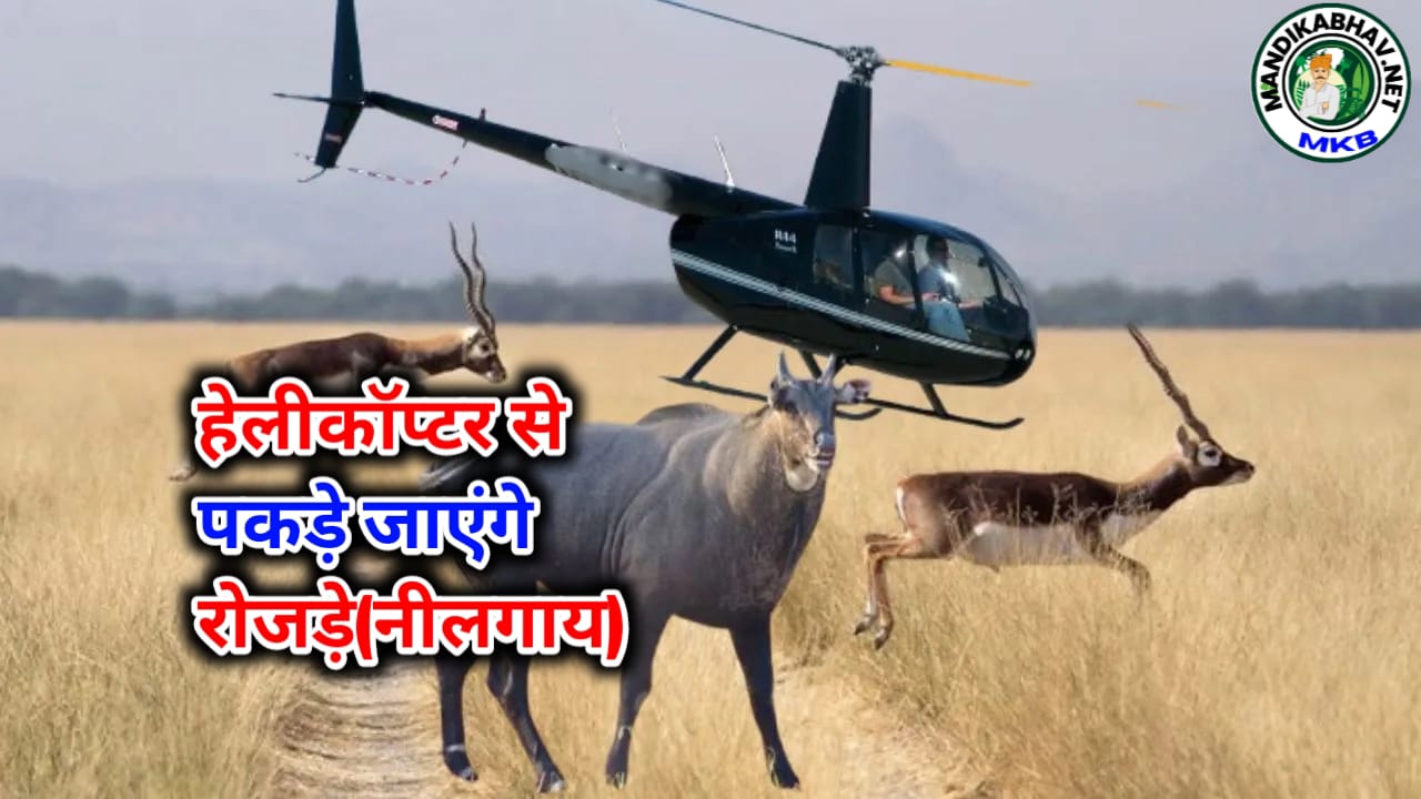 Government Announcement