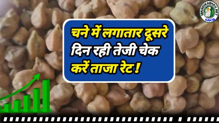 Gram Commodities Price