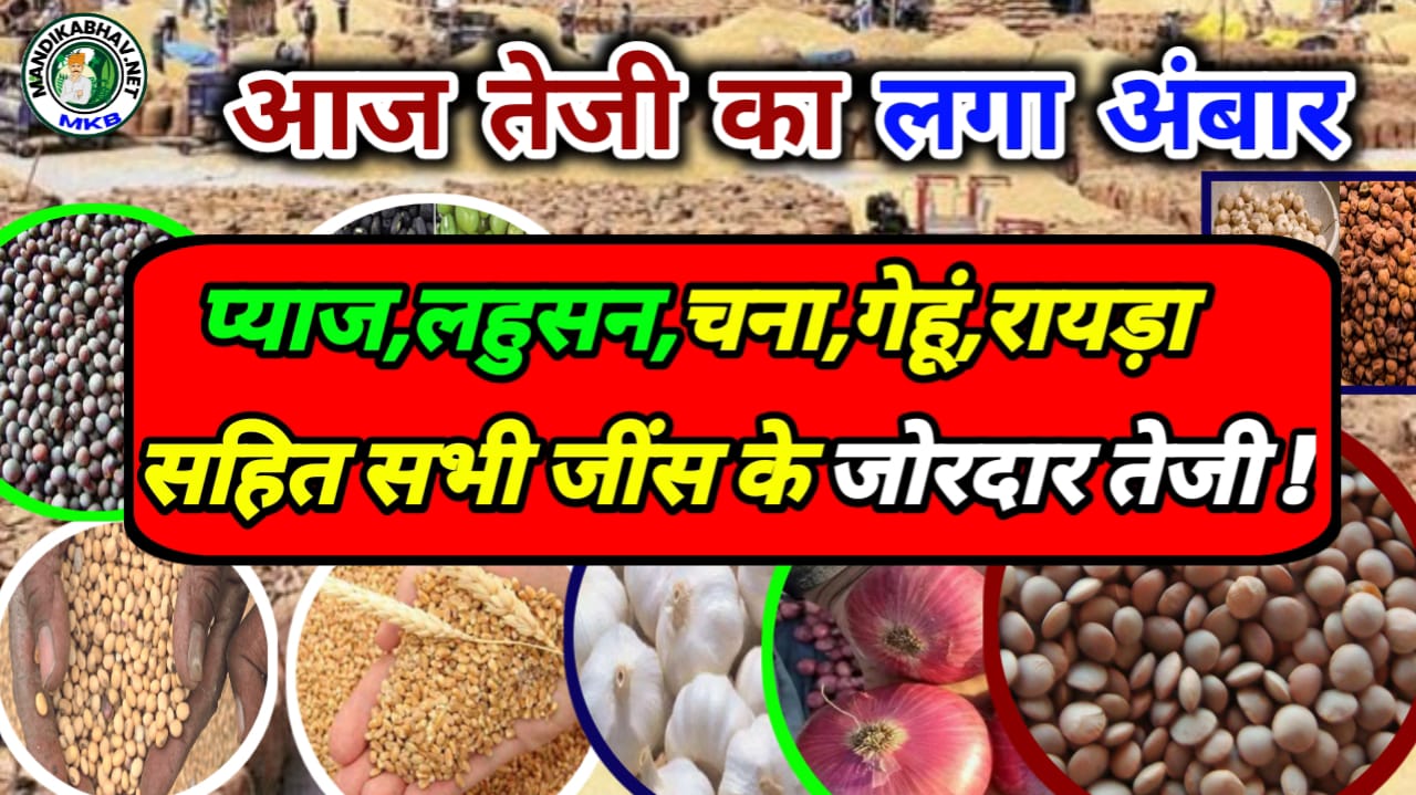 Mandi Commoditiesb Price