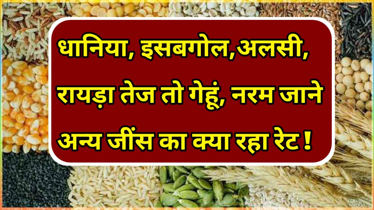 Mandi Rate