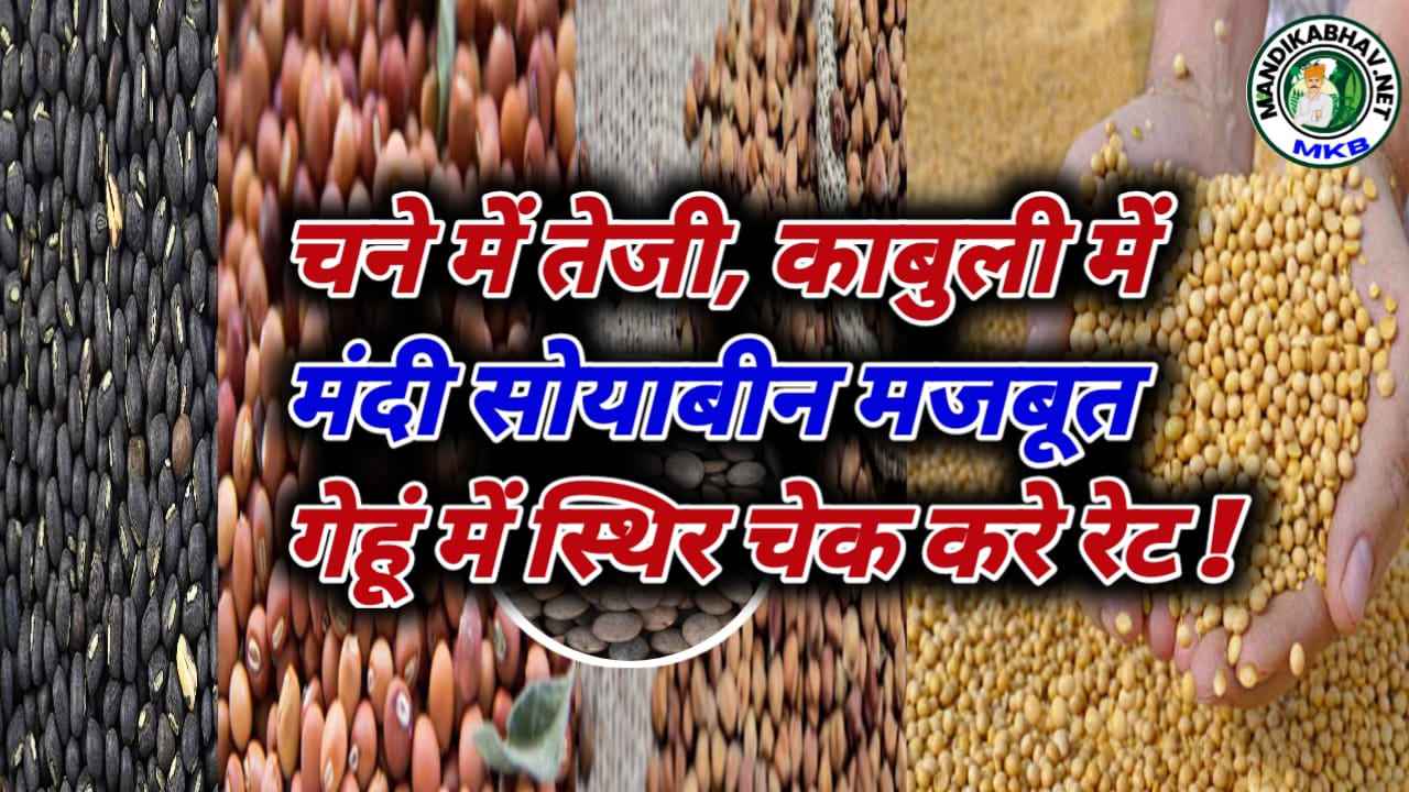 Market Commodities Trand