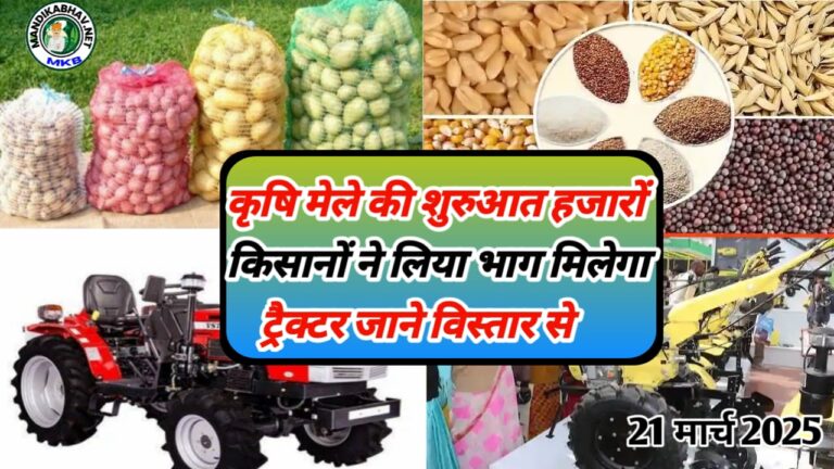 Mega Vegetable Expo 2025