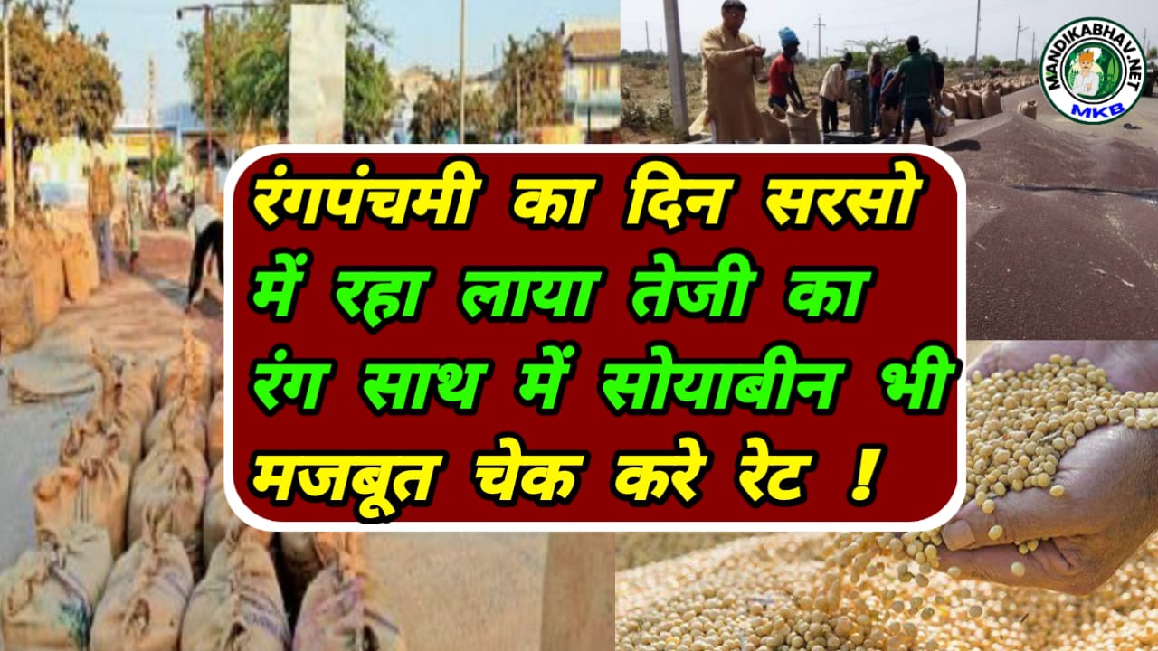 Mustard Commodities Price