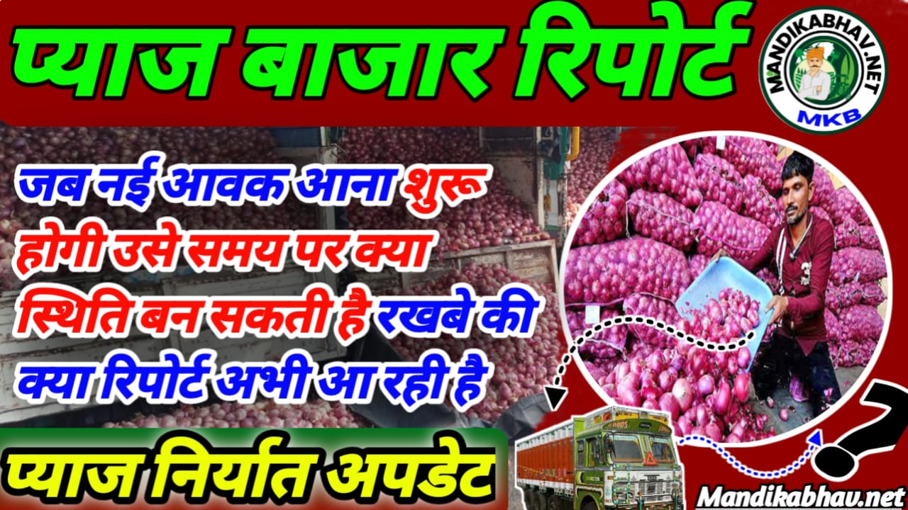 Onion Commodities Report