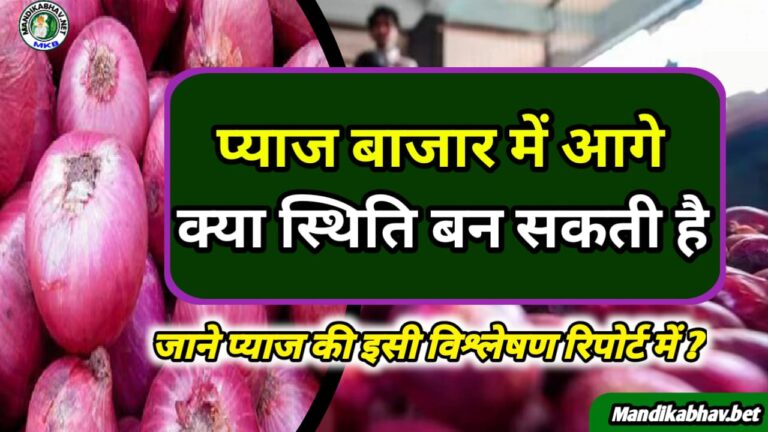 Onion Commodities Update