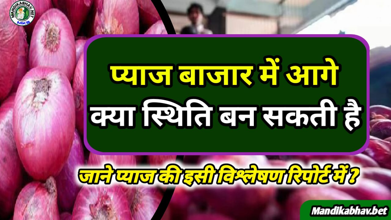 Onion Commodities Update