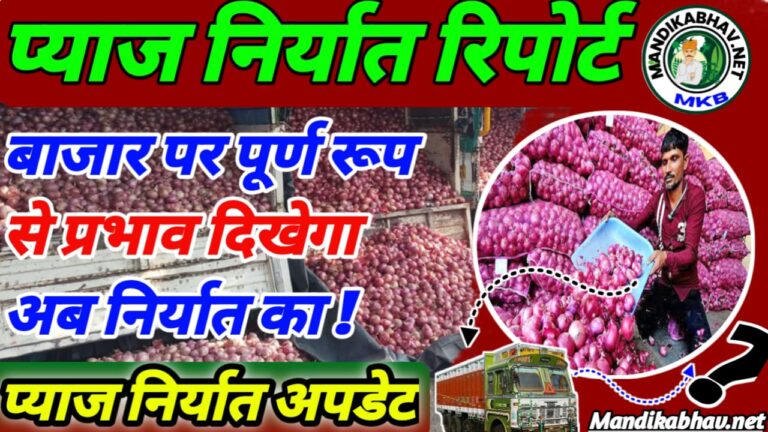 Onion Export price