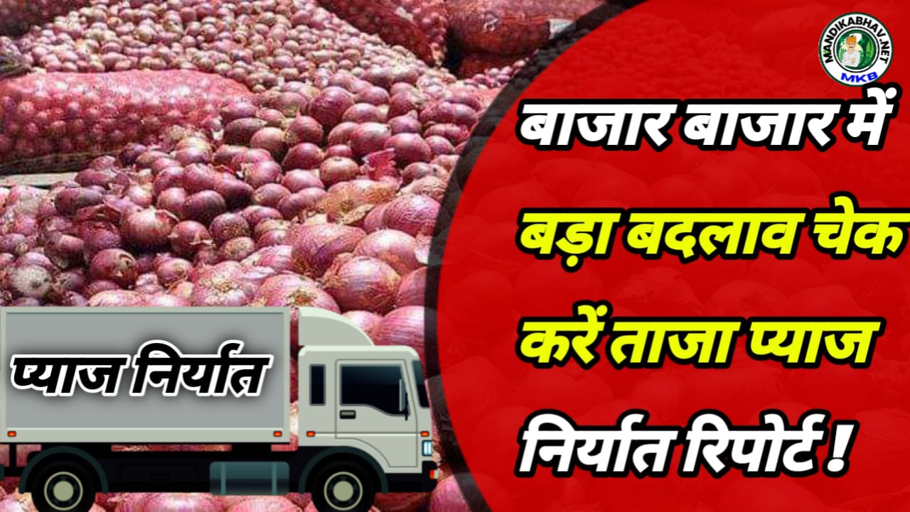 Onion Export price