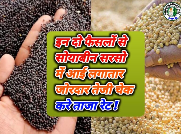 Soyabean Commodities Price