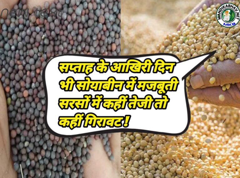 Soyabean Commodities Rate 