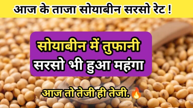 Soyabean Commodities Rate 