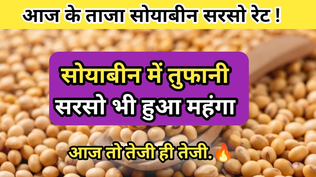 Soyabean Commodities Rate 
