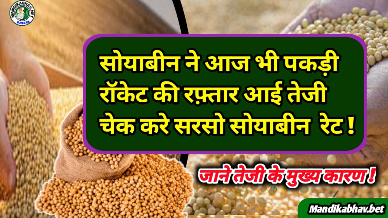 Soyabean Commodities Rate