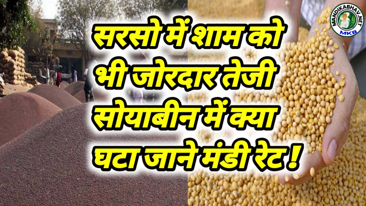 Soyabean Market Price